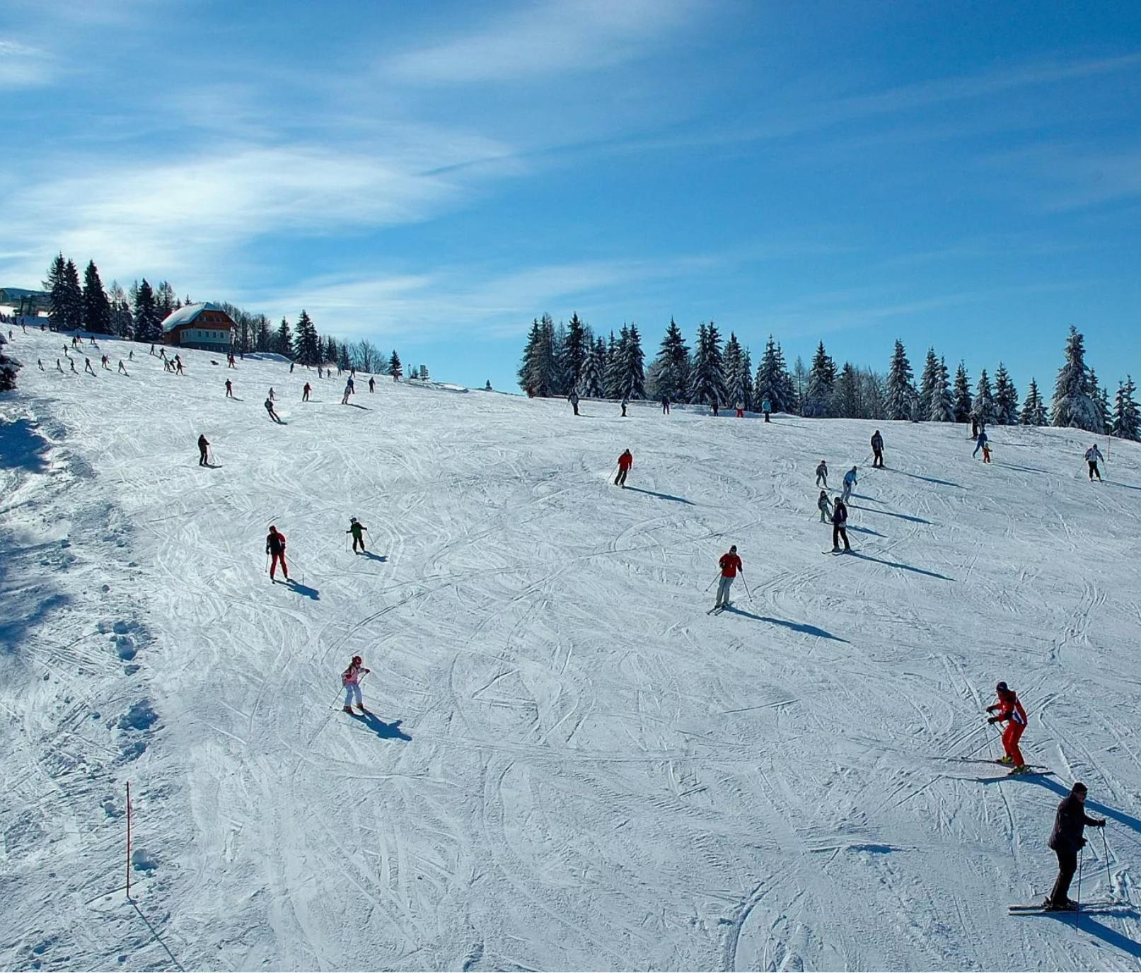 Спортивное начало года