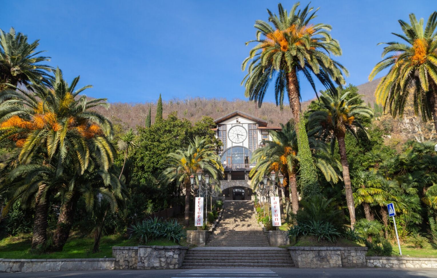 Путешествие в Гагры