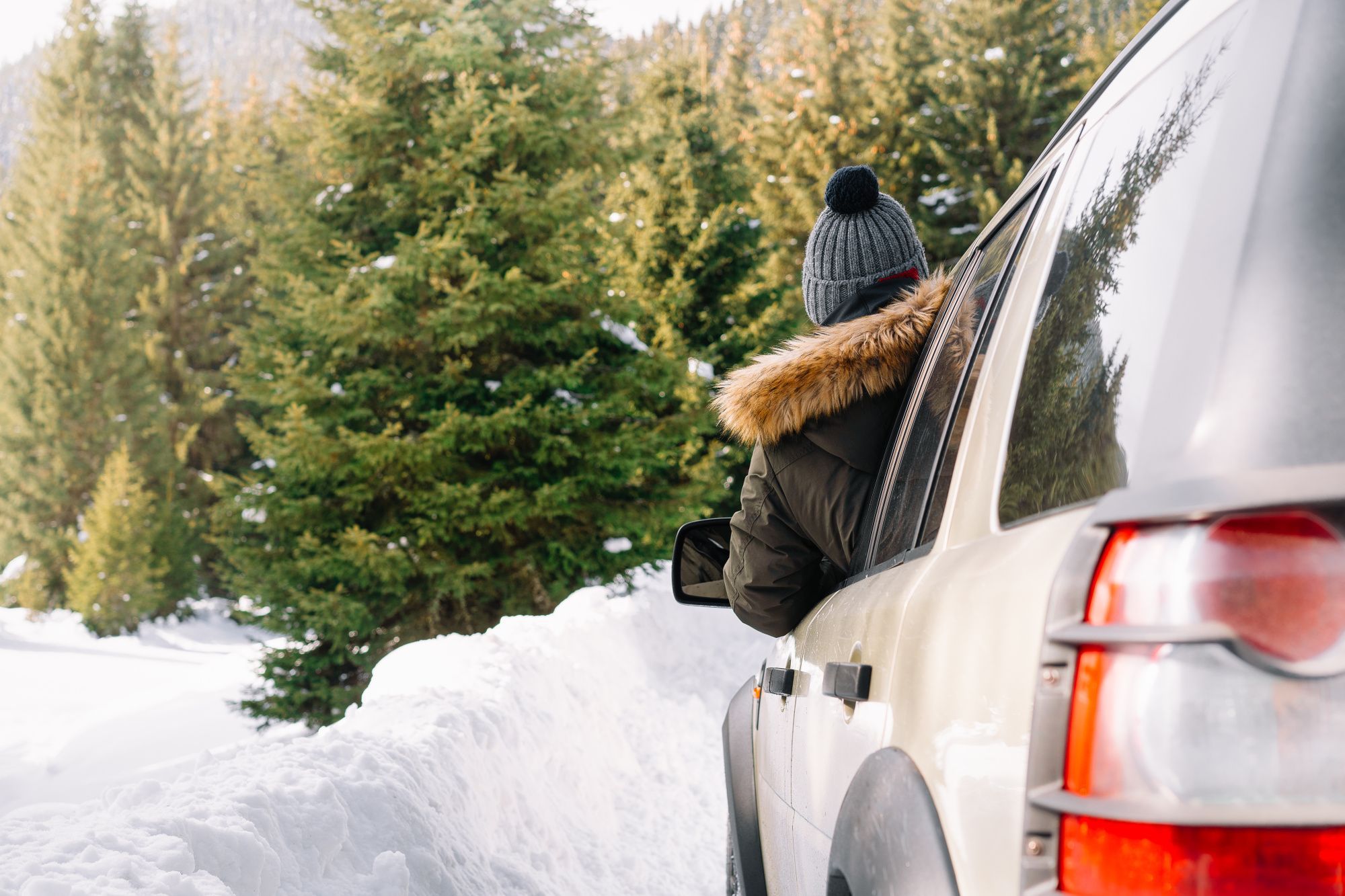 Возвращение домой