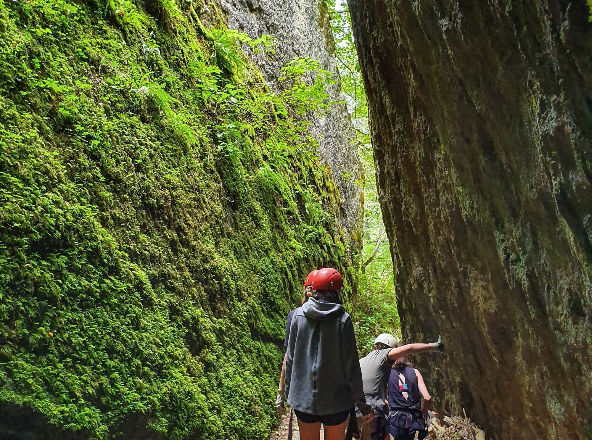 Маршрут в ущелье реки Руфабго