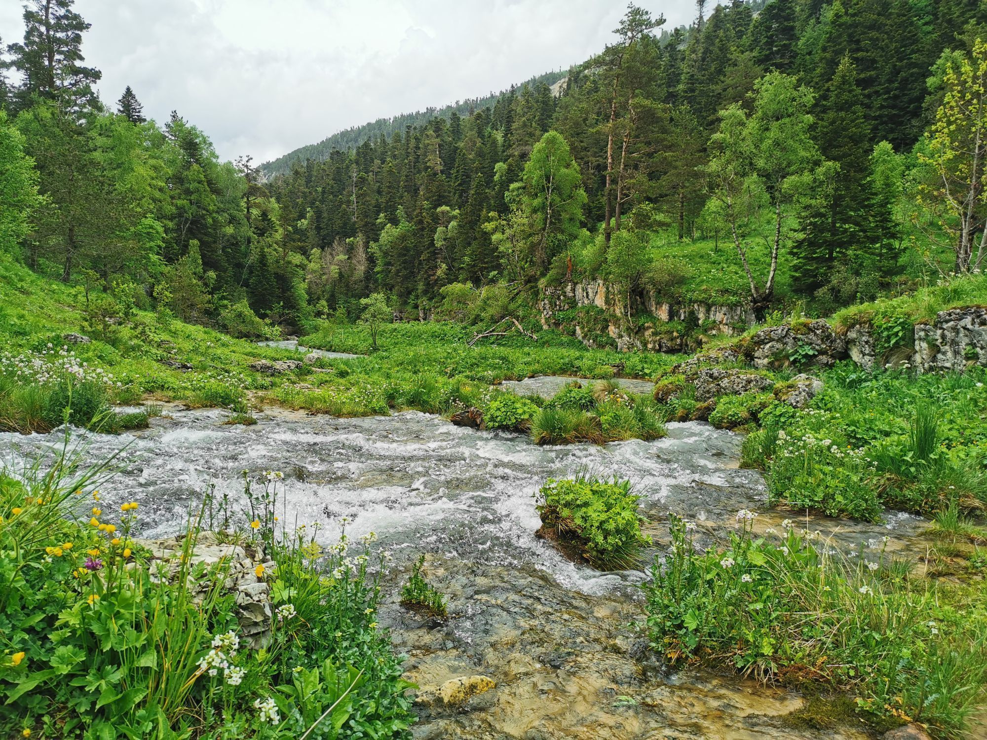 Пешая прогулка в верховья реки Курджипс