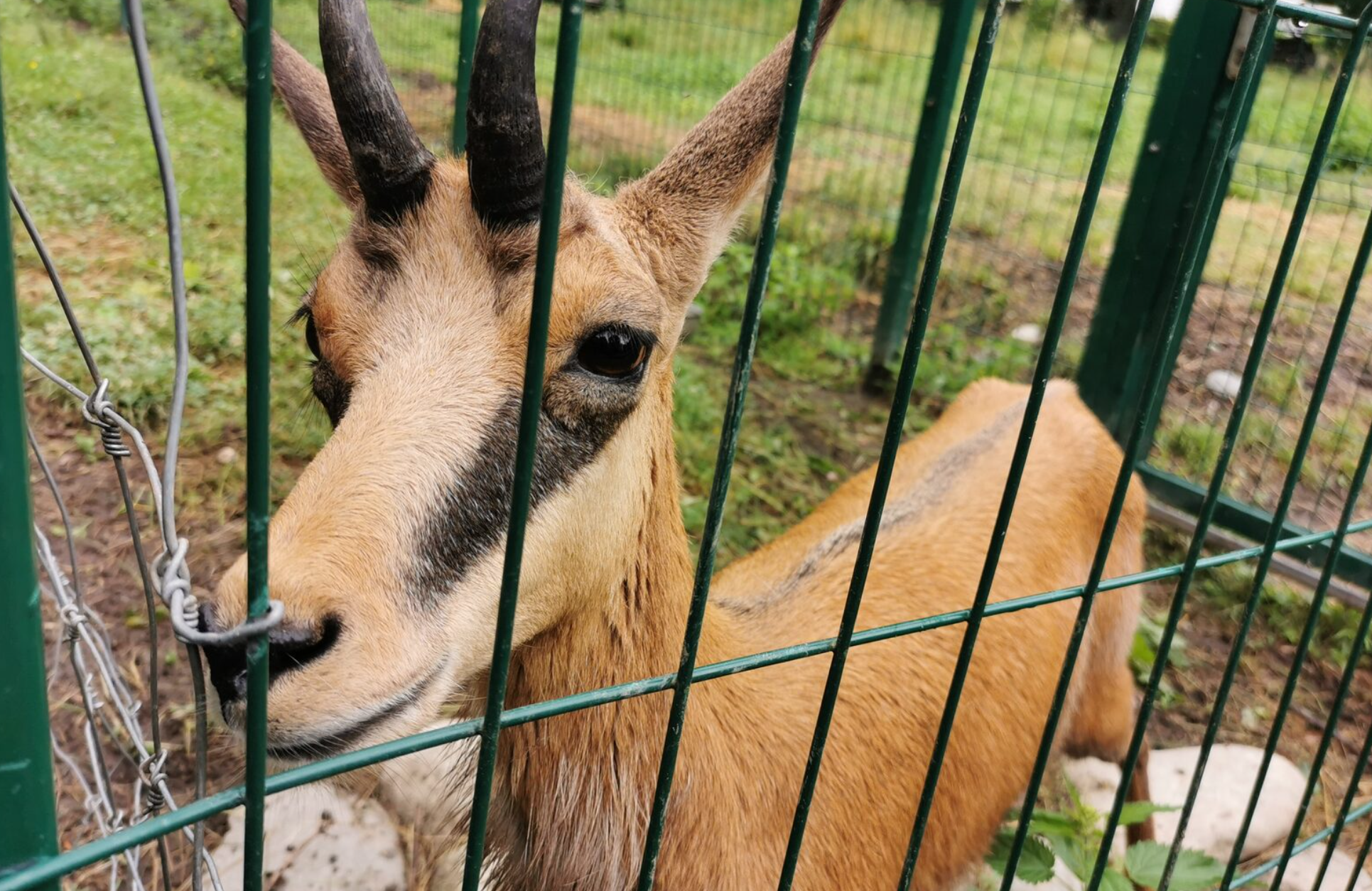 Гранитный каньон, Гузерипльский дольмен, веревочный парк