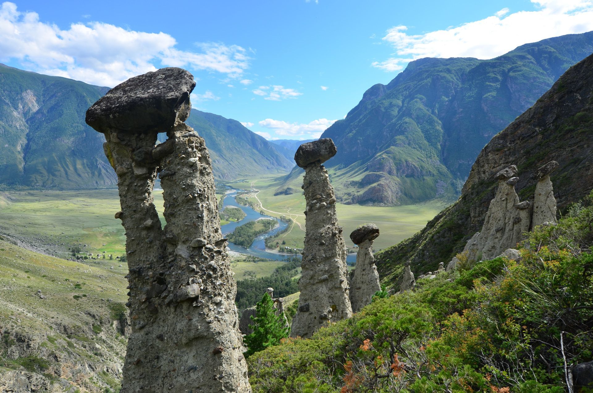 Каменные грибы 