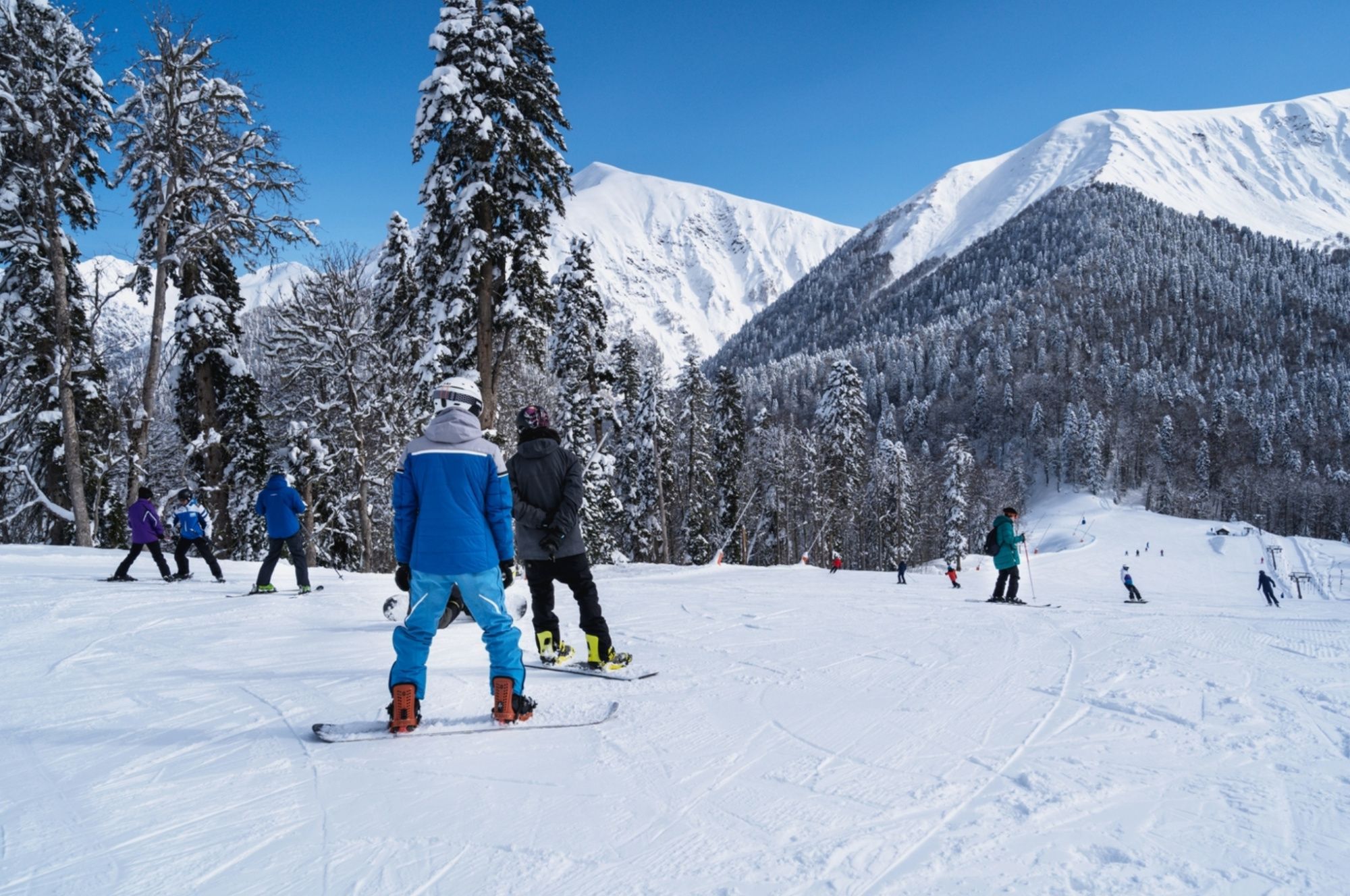 Тренировочные дни