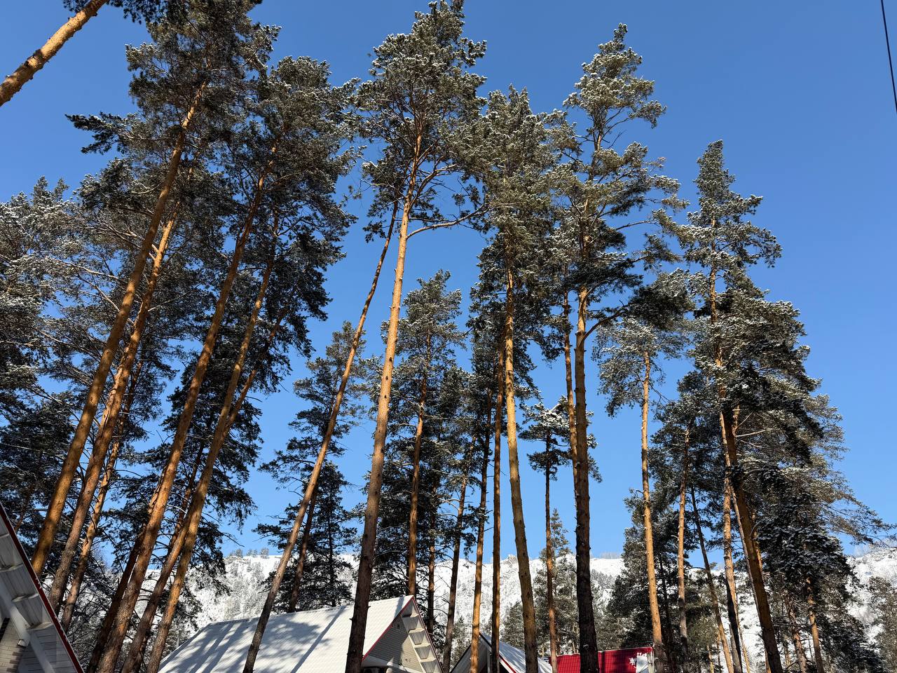 20 февраля – приезд и знакомство