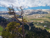 Пешая прогулка в верховья реки Курджипс