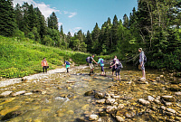 Пешая прогулка в верховья реки Курджипс