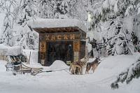 Основные дни катания